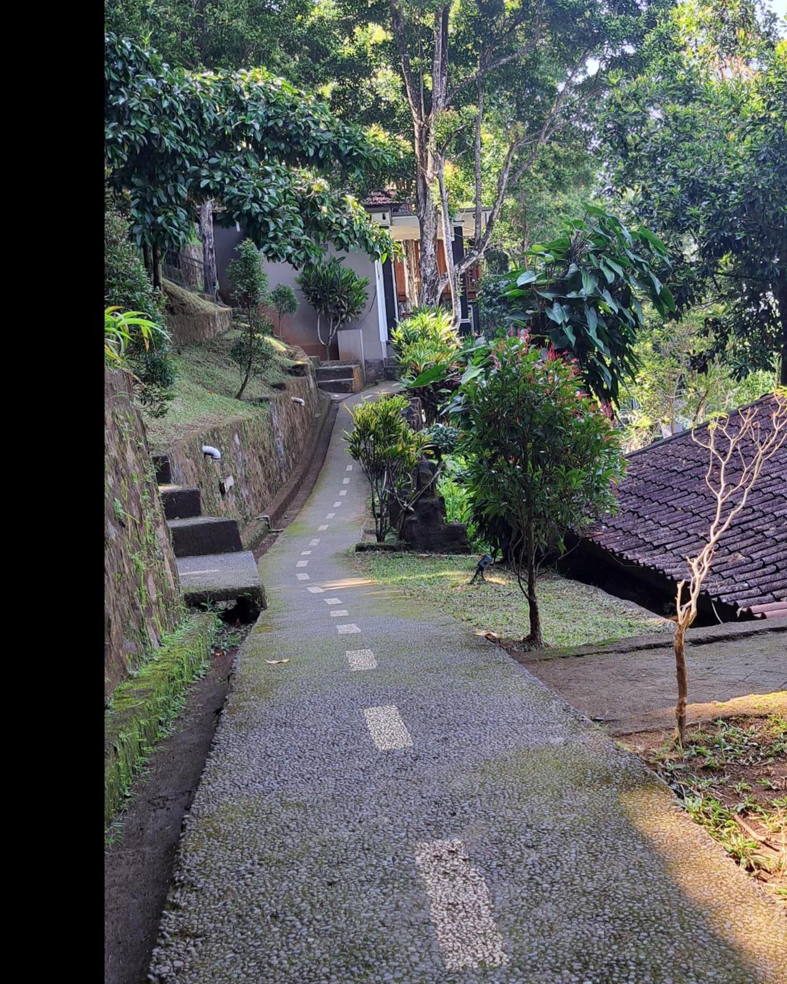 Bali Rahayu Homestay Munduk  Exterior photo