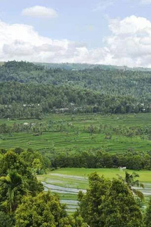 Bali Rahayu Homestay Munduk  Exterior photo